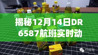 揭秘，DR 6587航班12月14日实时动态与深度飞行之旅解析