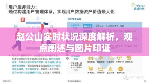 赵公山实时状况深度解析，观点阐述与图片证据