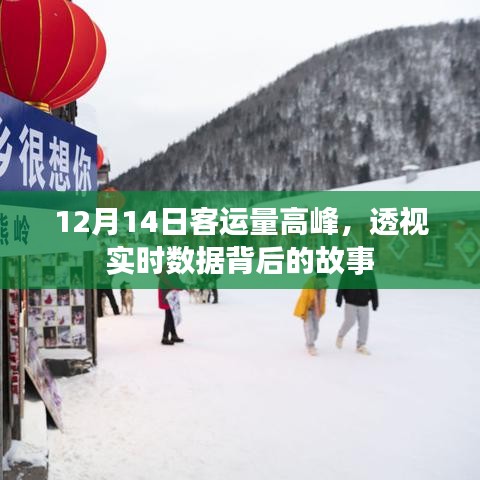 透视客运高峰背后的故事，实时数据解析揭示真相（12月14日客运量高峰）