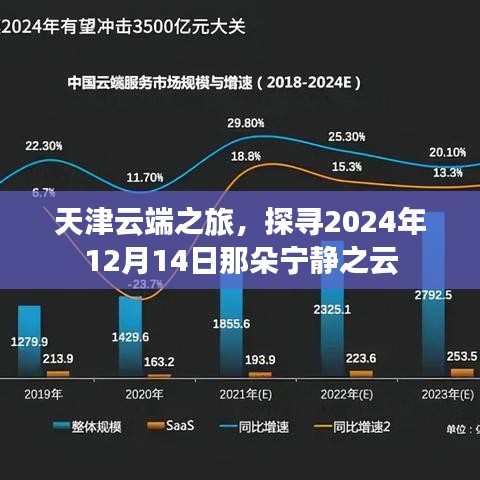 天津云端之旅，探寻宁静之云于2024年12月14日绽放的魅力