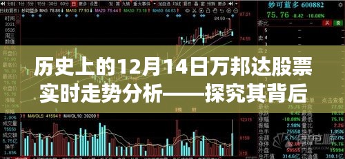 历史上的12月14日万邦达股票走势深度解析，背后的影响因素与观点探讨