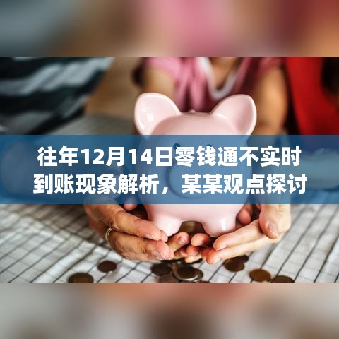 往年12月14日零钱通不实时到账现象解析及观点探讨