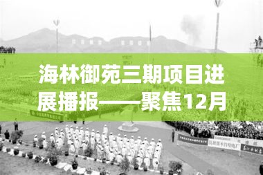 海林御苑三期项目最新进展播报，聚焦最新动态（12月14日更新）