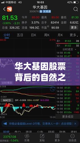华大基因股票背后的自然之旅，探寻宁静之美背后的力量