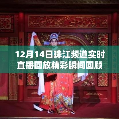 12月14日珠江频道直播精彩瞬间回顾与实时回放