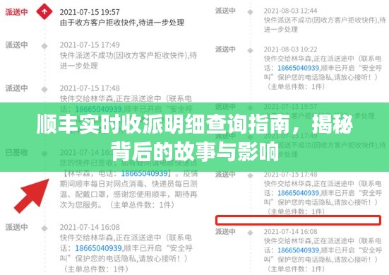 顺丰实时收派明细查询指南，揭秘背后的故事与深远影响