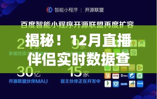 掌握流量密码，揭秘12月直播伴侣实时数据查看全攻略，小红书直播数据深度解析