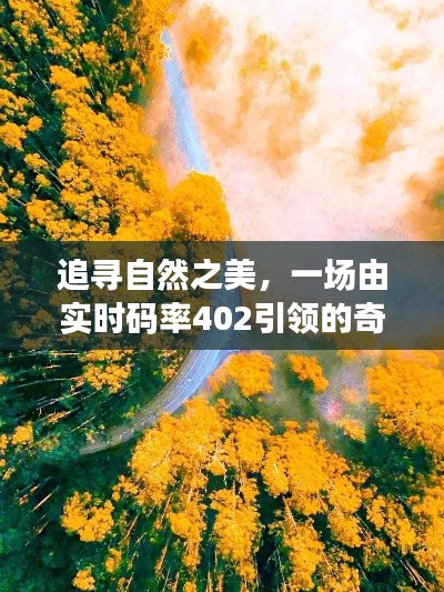 追寻自然之美，实时码率402引领的奇妙探索之旅