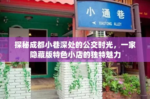 探秘成都小巷深处的公交时光，一家隐藏版小店的独特魅力之旅