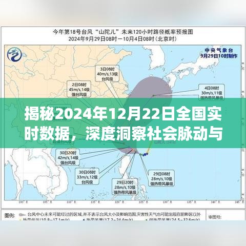 揭秘，全国实时数据深度洞察，揭示社会脉动与经济发展趋势（2024年12月22日）