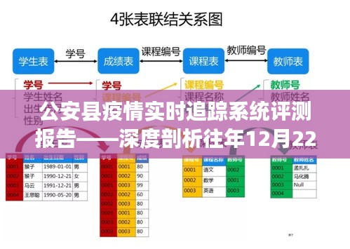 公安县疫情实时追踪系统评测报告，深度解析去年数据表现