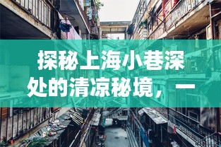 探秘上海小巷深处的清凉秘境，高温中的特色小店之旅