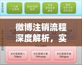 微博注销流程详解，实时操作、用户体验与竞品对比分析