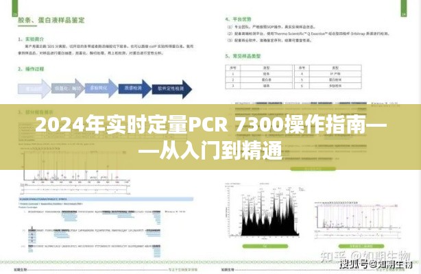 2024年实时定量PCR 7300系统操作手册，从基础入门到高级应用指南