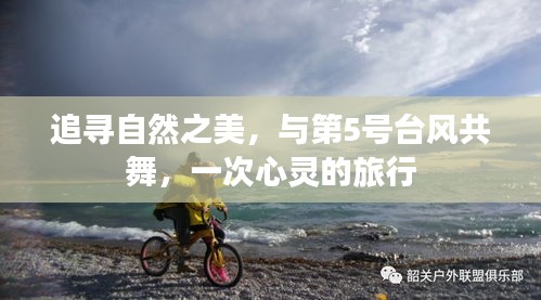 追寻自然之美，与台风共舞的心灵之旅