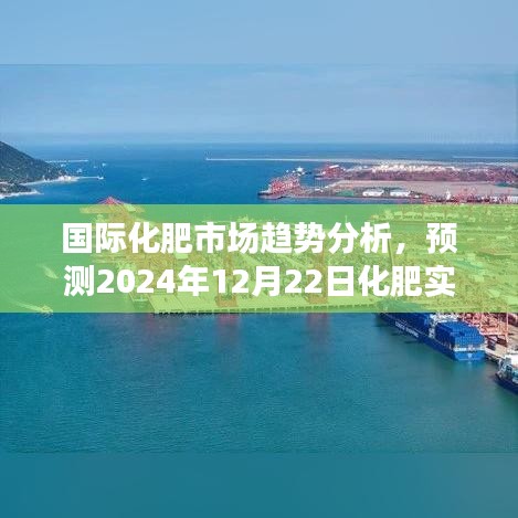 国际化肥市场趋势深度解读，预测2024年化肥实时价格行情