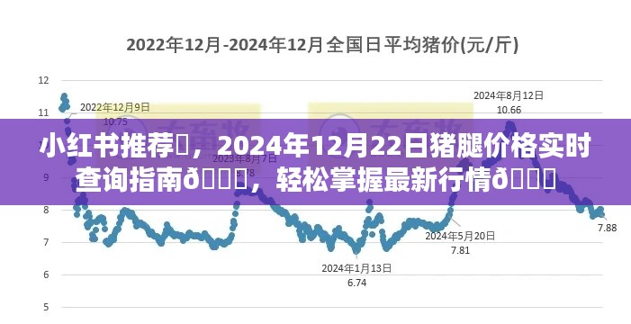 小红书推荐，最新猪腿价格实时查询指南，掌握最新行情动态！