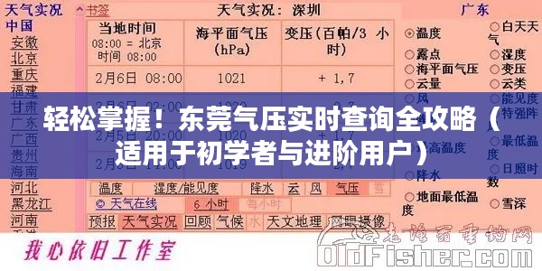 东莞气压实时查询全攻略，初学者与进阶用户必备指南