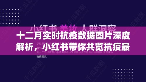 十二月抗疫数据深度解析，小红书带你实时了解最新进展