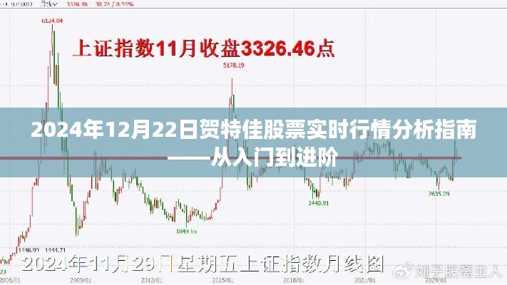 2024年贺特佳股票实时行情分析指南，入门到进阶详解