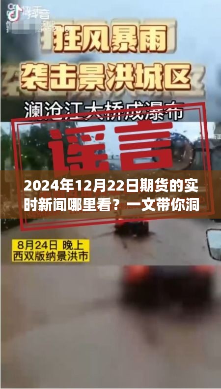 一文解读，如何获取最新市场动态，查看期货实时新闻（2024年12月22日）