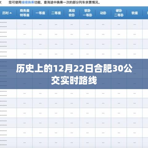 合肥公交实时路线查询，历史上的今天公交路线动态