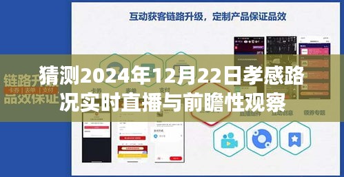 孝感路况直播，预测2024年12月22日实时路况与前瞻观察报告。