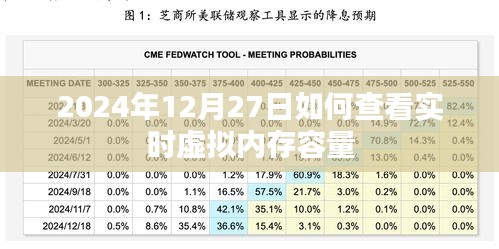 如何查看实时虚拟内存容量，操作指南（日期标注）