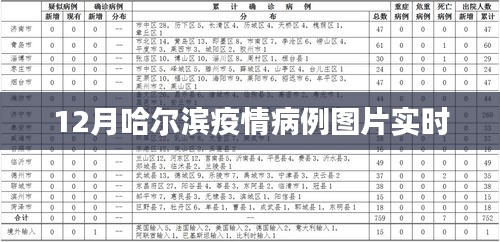 哈尔滨疫情病例图片实时更新