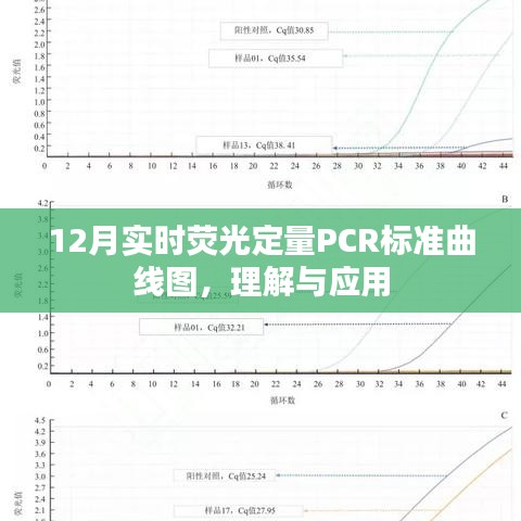 实时荧光定量PCR标准曲线图详解与应用指南