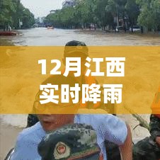 江西实时降雨地图最新更新，本月降雨分布数据解读