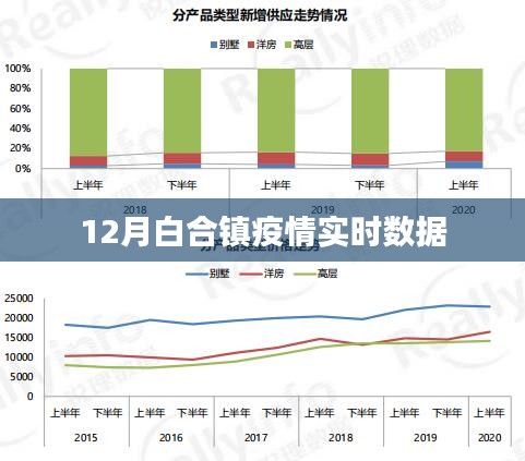 白合镇疫情实时数据报告，最新动态与防控进展