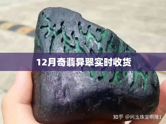 翡翠奇翠12月实时收货概览