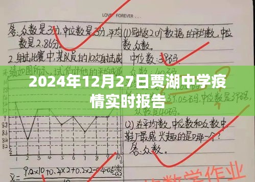 贾湖中学疫情实时更新报告，2024年最新动态