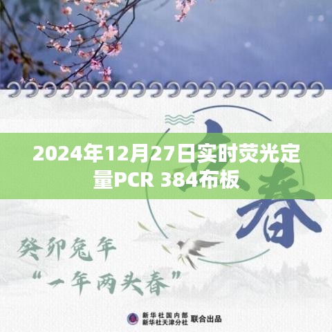 实时荧光定量PCR布板方案，2024年12月27日384布板详解