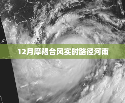 摩羯台风路径实时更新，影响河南12月天气情况