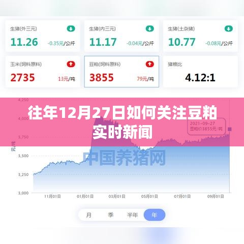 豆粕实时新闻关注指南，往年12月27日动态