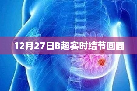 12月27日B超实时结节画面展示