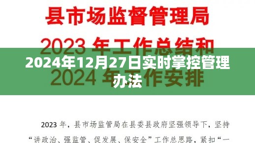 实时掌控管理办法，最新动态与解析（2024年）