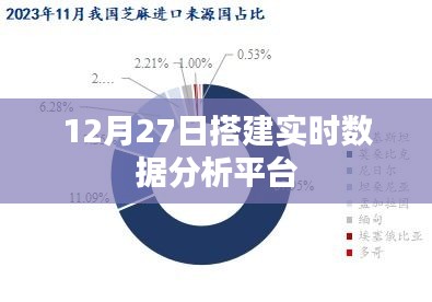 实时数据分析平台搭建实战指南，12月27日启动