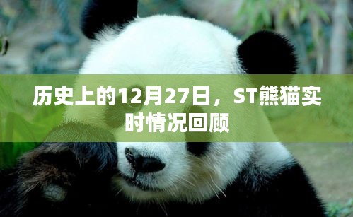 历史上的ST熊猫实时情况回顾，揭秘12月27日