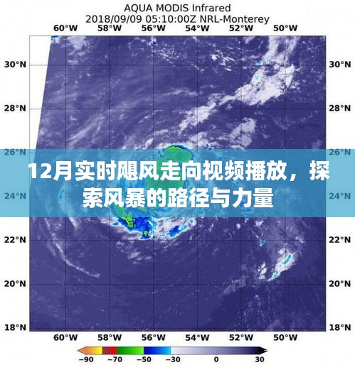 探索风暴路径与力量，实时飓风走向视频直播