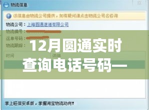 12月圆通物流实时查询电话，轻松掌握物流动态