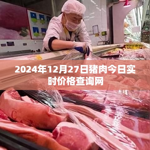 猪肉价格实时查询网（今日最新报价，2024年12月27日）