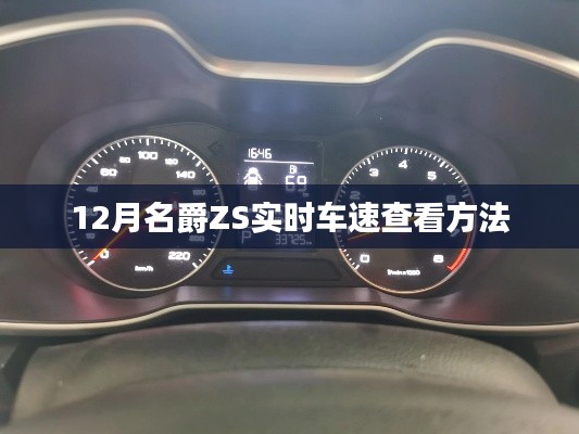 名爵ZS实时车速查看指南