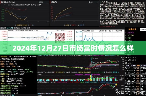 关于市场实时情况的最新报道，2024年12月27日市场分析