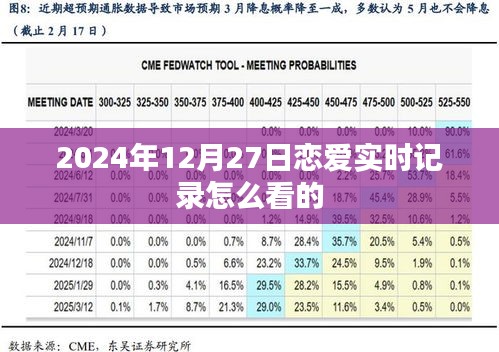 关于恋爱实时记录的查看指南，2024年12月27日篇