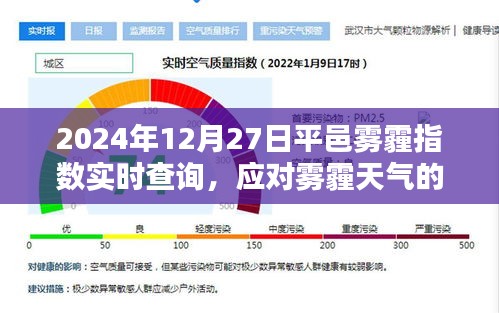 平邑雾霾指数实时查询，应对雾霾天气的策略与行动指南