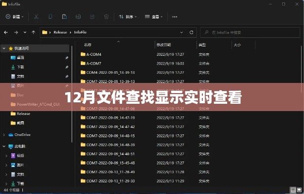实时查看文件动态，十二月文件查找功能