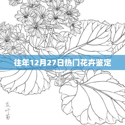 往年12月27日热门花卉品种鉴定与赏析